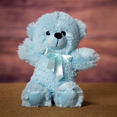 Baby Bear 12" ( Blue)